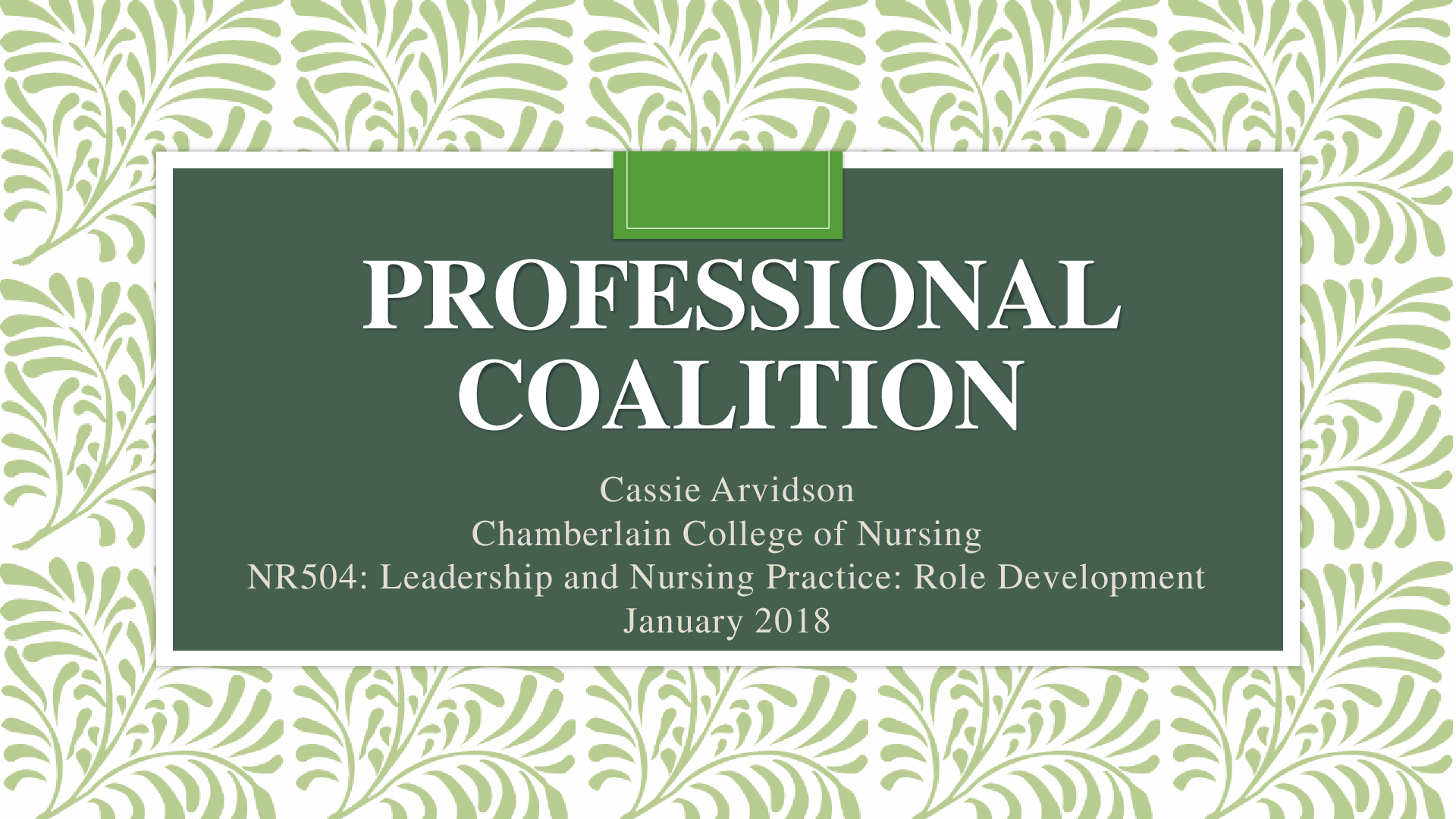 Preview image for NR 504 Leadership And Nursing Practice Role Development Week 7 PROFESSIONAL COALITION Graded A